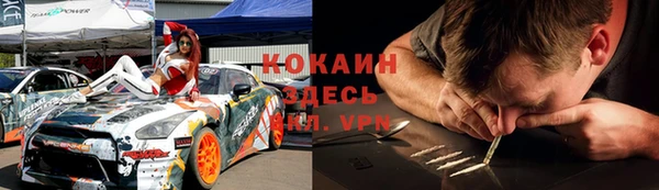 spice Бородино