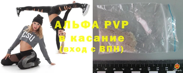 spice Бородино