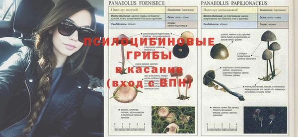 spice Бородино