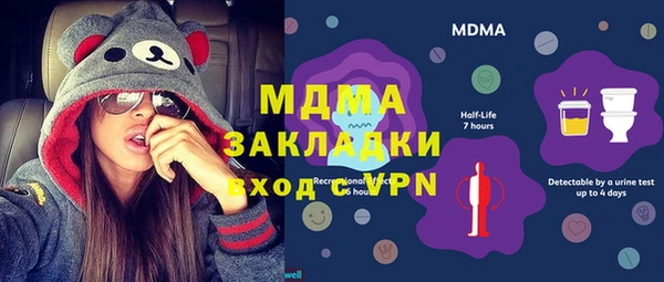 прущие грибы Переславль-Залесский